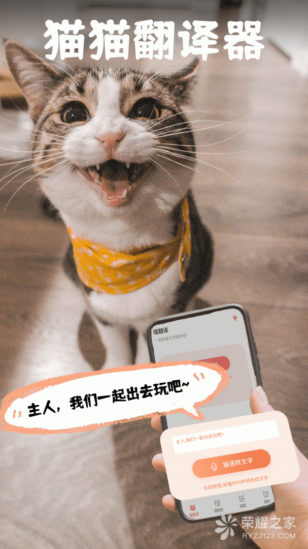 猫翻译